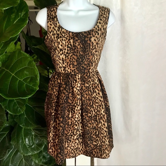 fit and flare animal print dress